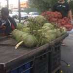 buah-kelapa-dan-manggis