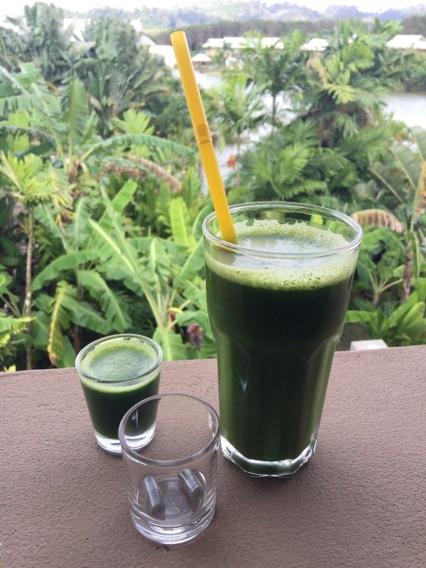 the-lifeco-phuket-green-juice-2
