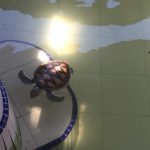 pusat-saanctury-penyu-3